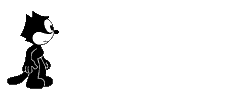 gato